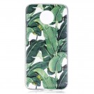 Fashion TPU Deksel Motorola Moto G5S - Plants thumbnail