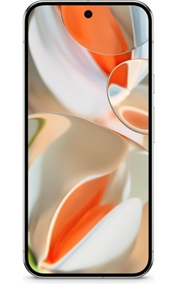 Google Pixel 9 Pro XL 5G